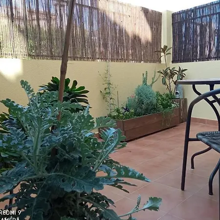 Loft Alquiler * Alcalalí